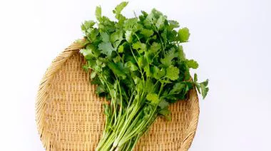 garnishing-instructions-image